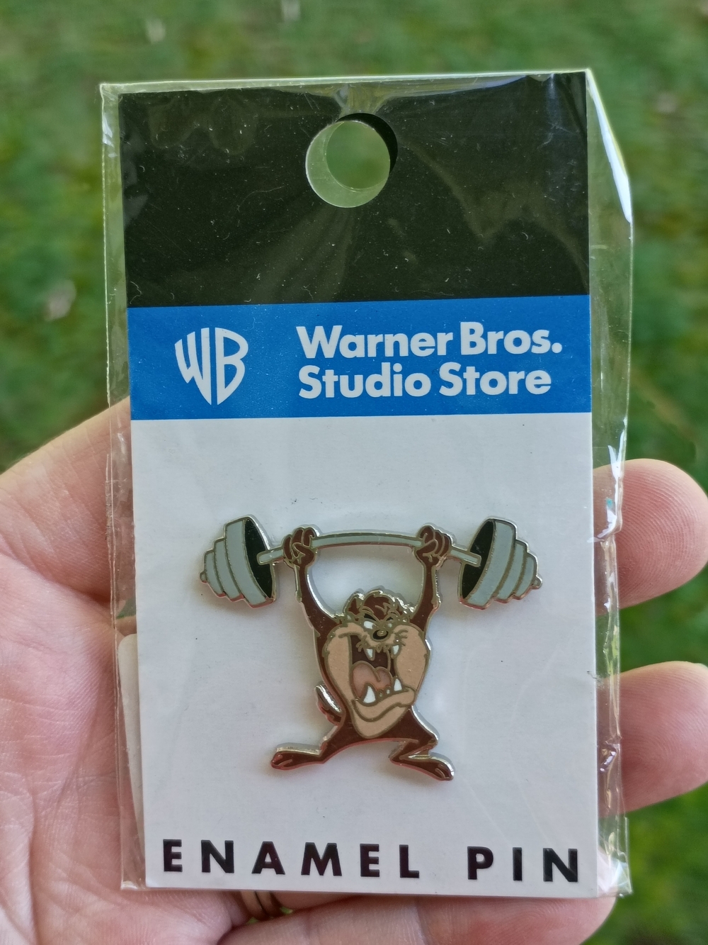 Warner Bros. Taz Enamel Brooch - Brown & Silver 1998 New Old Stock
